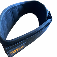 FITLIT 6" Weightlifting Lifting Gym Belt - FITLIT